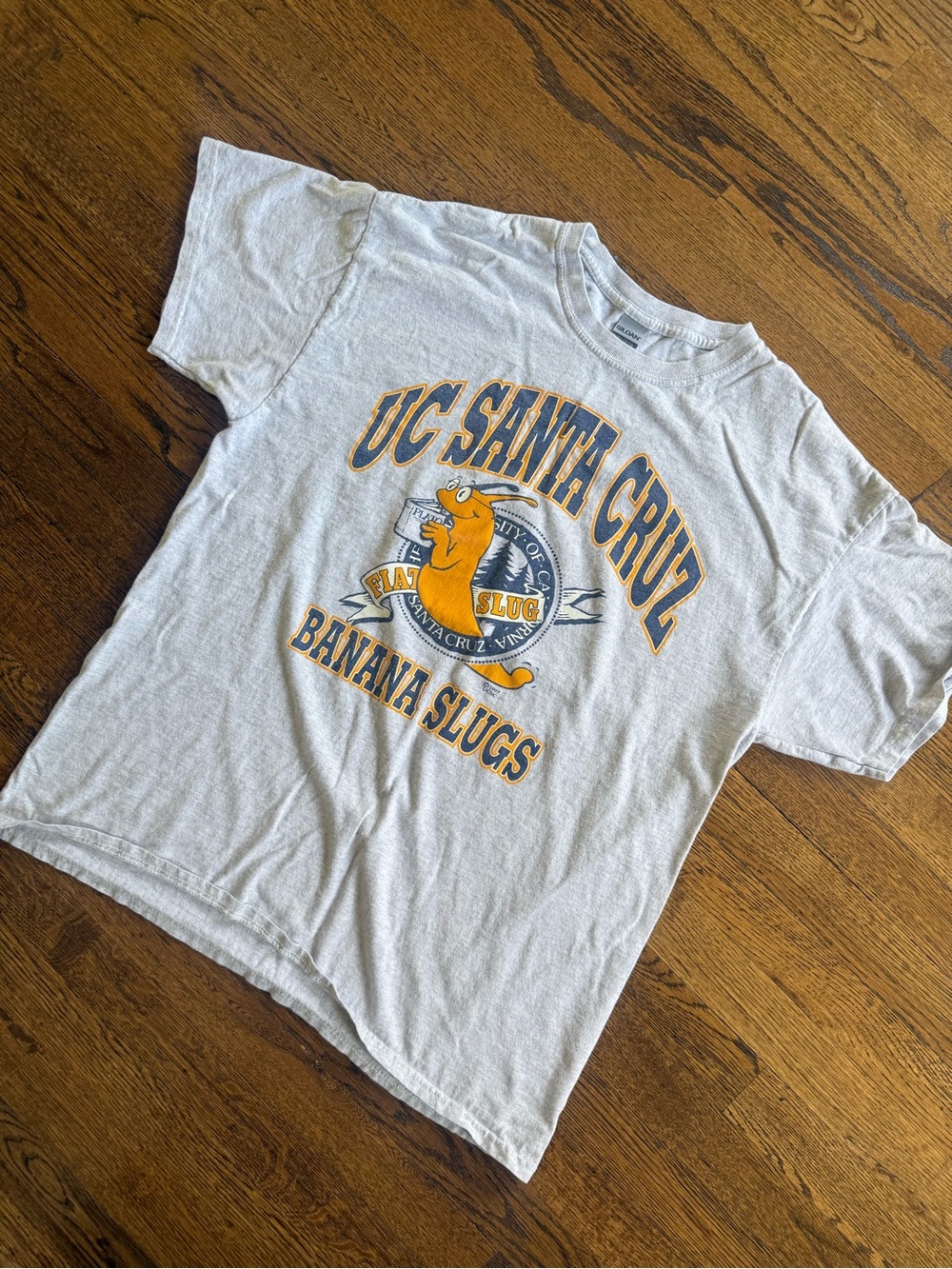 Gildan Gray UC Santa Cruz Banana Slugs Graphic Tee